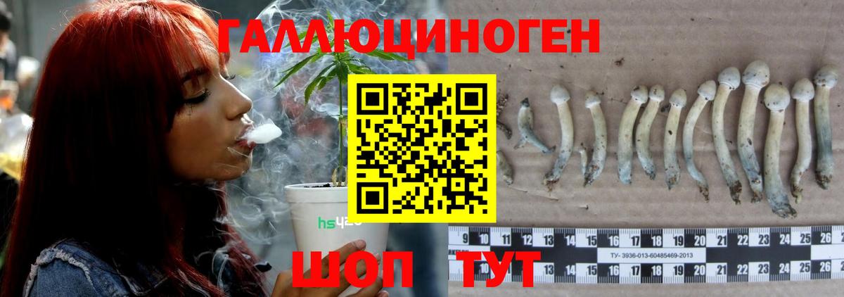 Псилоцибиновые грибы мицелий Рыбинск
